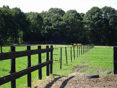 Heirweghof [Paardenpension]