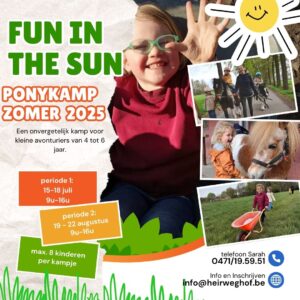Fun in the sun kamp 15-18 juli 2025