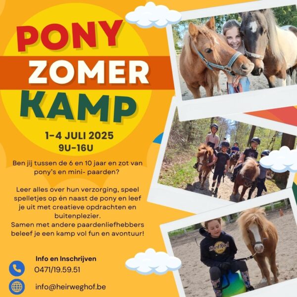 pony zomerkamp 1- 4 juli 2025