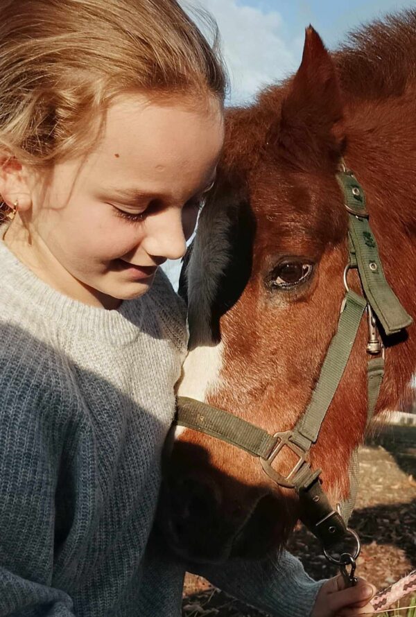 pony zomerkamp 1- 4 juli 2025 - Afbeelding 2